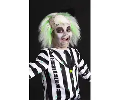 Pruik Beetlejuice / Kinderen