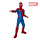 Spiderman / Kinderkostuum