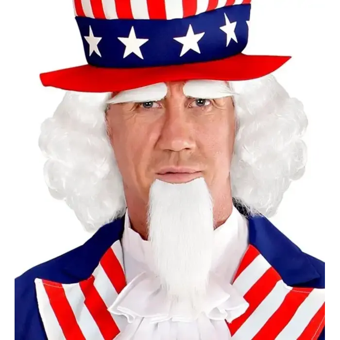 Mr. America Pruik + Baard en wenkbrauwen