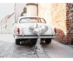 Autodecoratie set Huwelijk /  Folie Hartjes + Blikken
