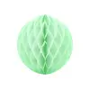Decoratie Honeycomb 40cm /  Pistache