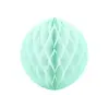 Decoratie Honeycomb 40cm /  Munt