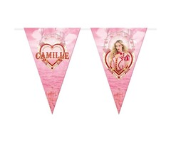 Circus Camille / Vlaggenlijn 2m