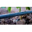 Poliext Niet-drukgecompenseerde druppelslang 16 mm | 25 meter