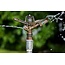 NaanDanJain 360° Rondsproeier messing ¾" | type RC 130