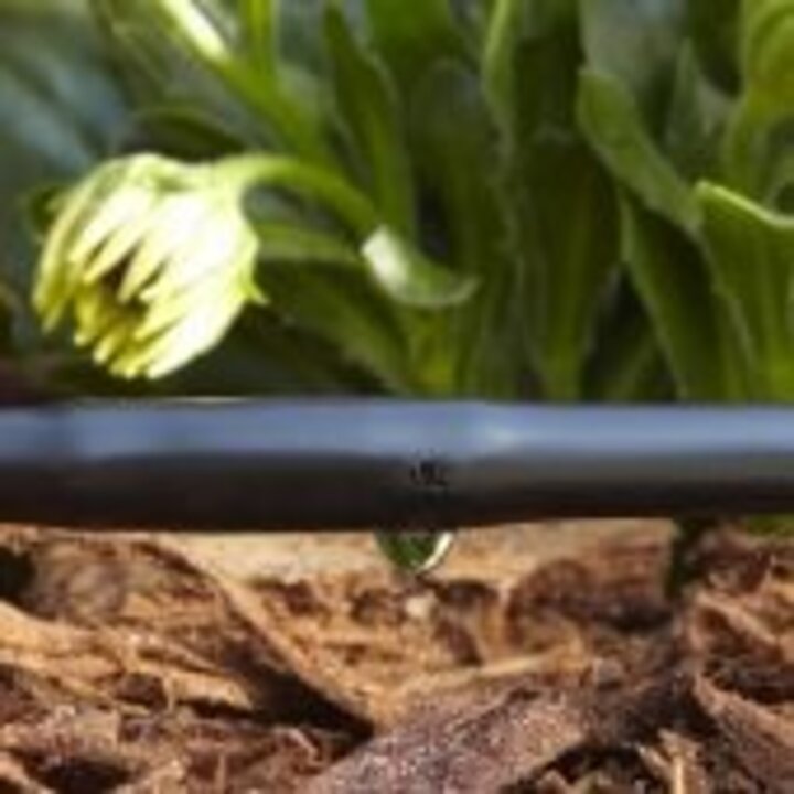 Ondergrondse druppelslang Unitechline 100 meter