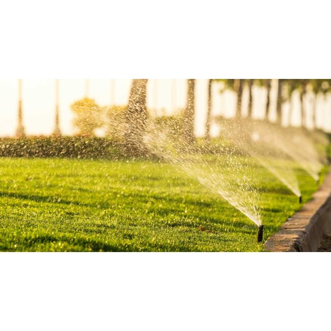 RainBird Complete RainBird tuinsproeierset 3500 met tyleenslang | 12 sproeiers