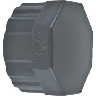 PVC schroefkap | 1"