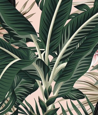 Children's wallpaper jungle Tropical Treasures, washable