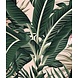 Tropical Treasures Tropical Treasures