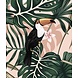 Tropical Treasures Tropical Treasures