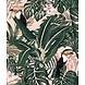 Tropical Treasures Tropical Treasures