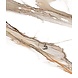 Earthy Marble Essence Earthy Marble Essence