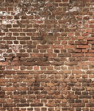 Steen behang Timeless Brick Essence, afwasbaar Steen behang Timeless Brick Essence, afwasbaar