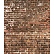 Timeless Brick Essence Timeless Brick Essence