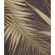 Jungle Vibes Jungle Vibes