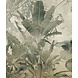 Vintage Jungle Dreams Vintage Jungle Dreams