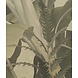 Vintage Jungle Dreams Vintage Jungle Dreams