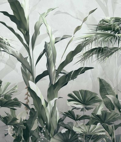 Jungle behang Misty Wilderness, afwasbaar Jungle behang Misty Wilderness, afwasbaar