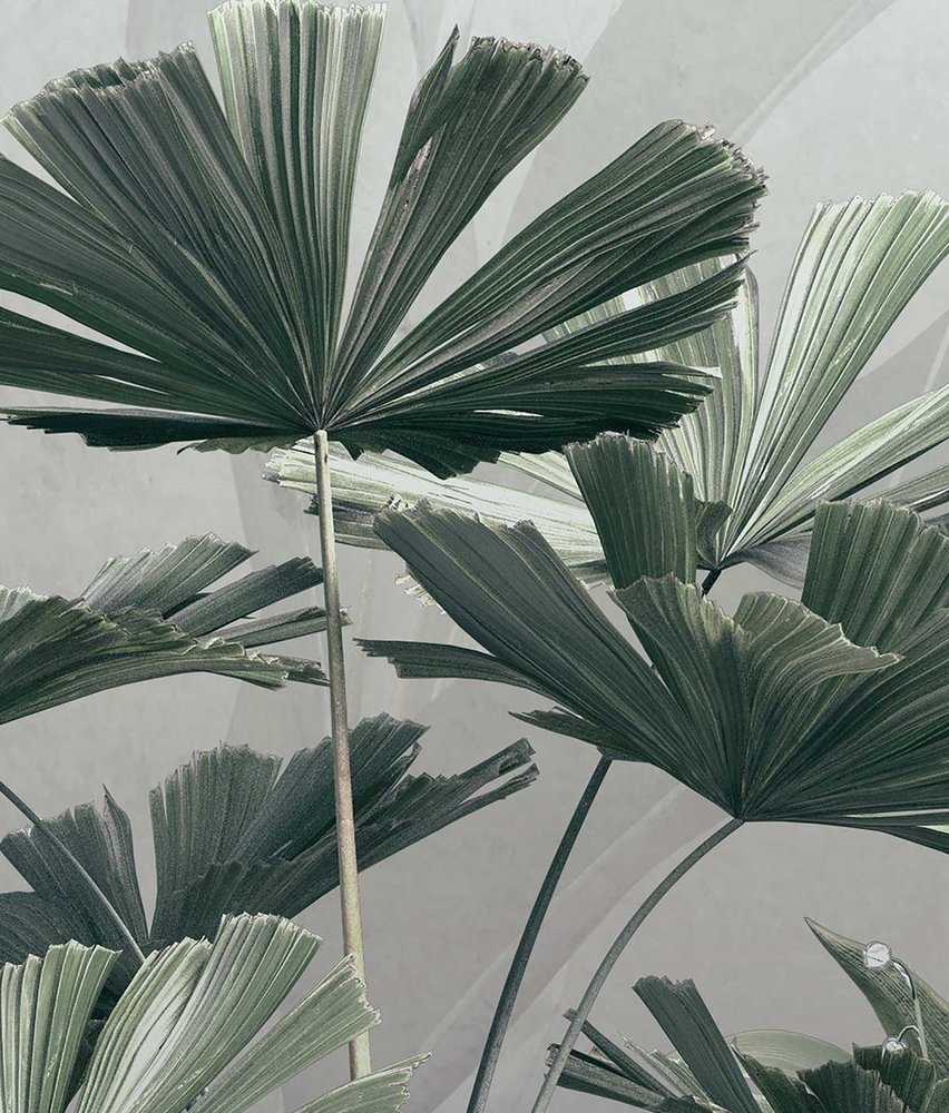 Jungle wallpaper Misty Wilderness, washable Jungle wallpaper Misty Wilderness, washable