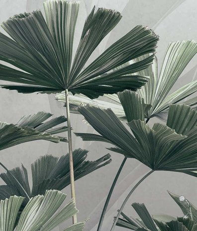 Jungle behang Misty Wilderness, afwasbaar Jungle behang Misty Wilderness, afwasbaar
