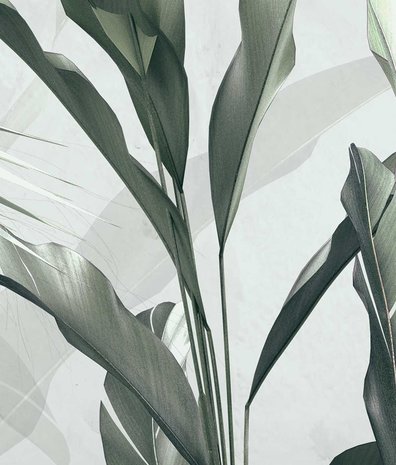 Jungle wallpaper Misty Wilderness, washable Jungle wallpaper Misty Wilderness, washable