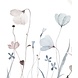 Watercolor Blossom Watercolor Blossom