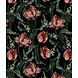 Wild Scarlet Tulips Wild Scarlet Tulips
