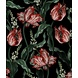 Wild Scarlet Tulips Wild Scarlet Tulips