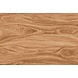Dynamic Timber Dynamic Timber