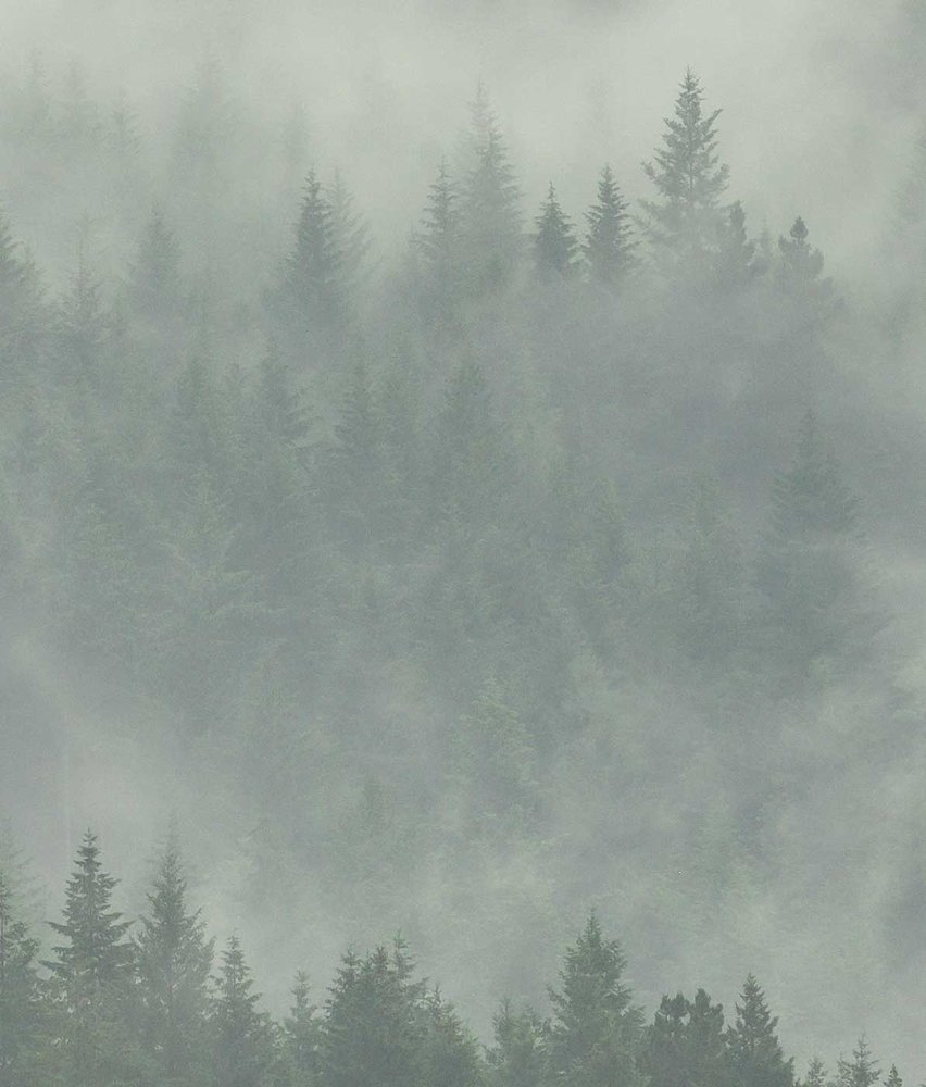 Landschappen behang Enchanted Woodlands, groen, afwasbaar Landschappen behang Enchanted Woodlands, groen, afwasbaar