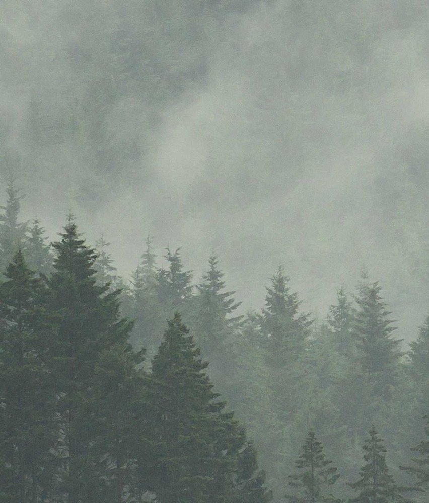 Landscapes wallpaper Enchanted Woodlands, green, washable Landscapes wallpaper Enchanted Woodlands, green, washable