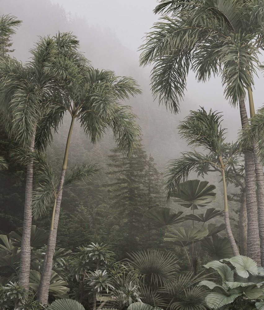 Jungle fotobehang Tropical Mist Oasis, afwasbaar Jungle fotobehang Tropical Mist Oasis, afwasbaar