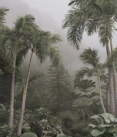 Jungle fotobehang Tropical Mist Oasis, afwasbaar Jungle fotobehang Tropical Mist Oasis, afwasbaar