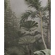 Tropical Mist Oasis Tropical Mist Oasis