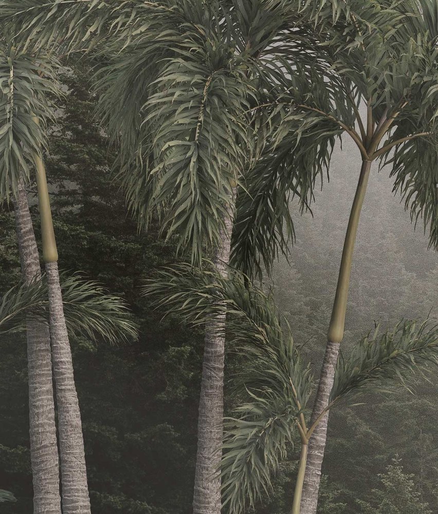 Jungle fotobehang Tropical Mist Oasis, afwasbaar Jungle fotobehang Tropical Mist Oasis, afwasbaar