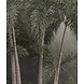 Tropical Mist Oasis Tropical Mist Oasis