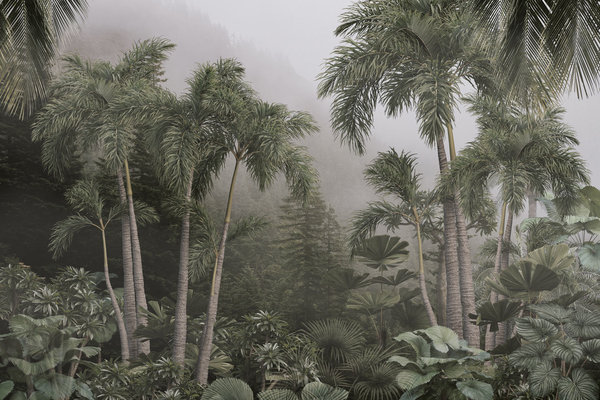 Jungle fotobehang Tropical Mist Oasis, afwasbaar Jungle fotobehang Tropical Mist Oasis, afwasbaar