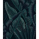 Palm Whispers Palm Whispers
