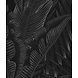 Palm Whispers Palm Whispers