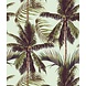 Perfect Palm Delight Perfect Palm Delight