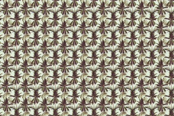 Palm behang Perfect Palm Delight, groen, afwasbaar