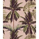 Perfect Palm Delight Perfect Palm Delight