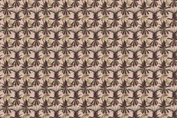 Palm behang Perfect Palm Delight, roze, afwasbaar