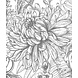Vintage Blossom Vintage Blossom