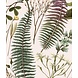 Botanic Delight Botanic Delight