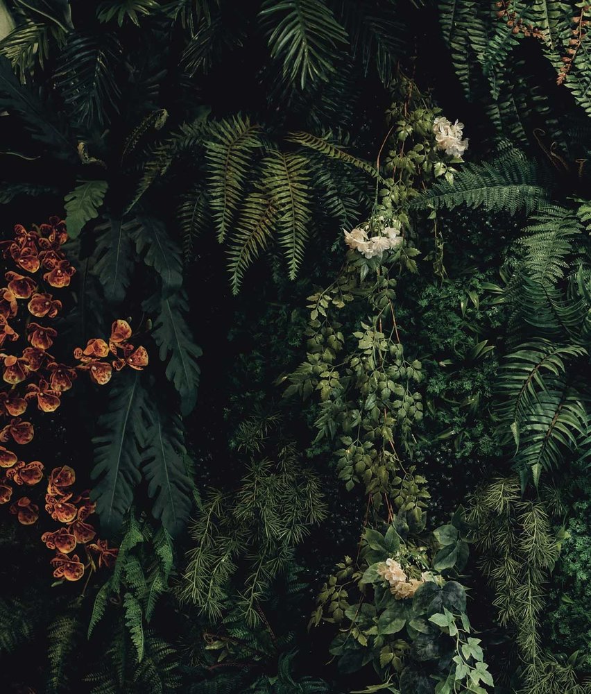 Blättertapete Suspended Oasis, grün, waschbar Blättertapete Suspended Oasis, grün, waschbar