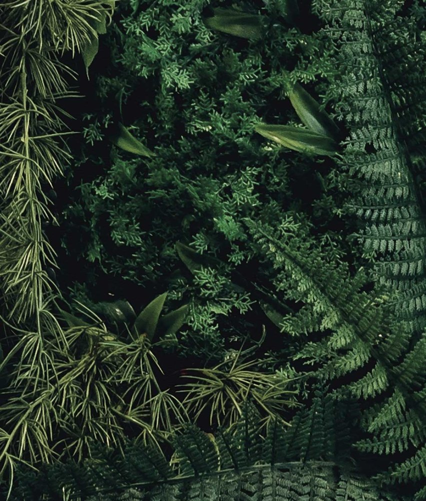 Leaves wallpaper Suspended Oasis, green, washable Leaves wallpaper Suspended Oasis, green, washable