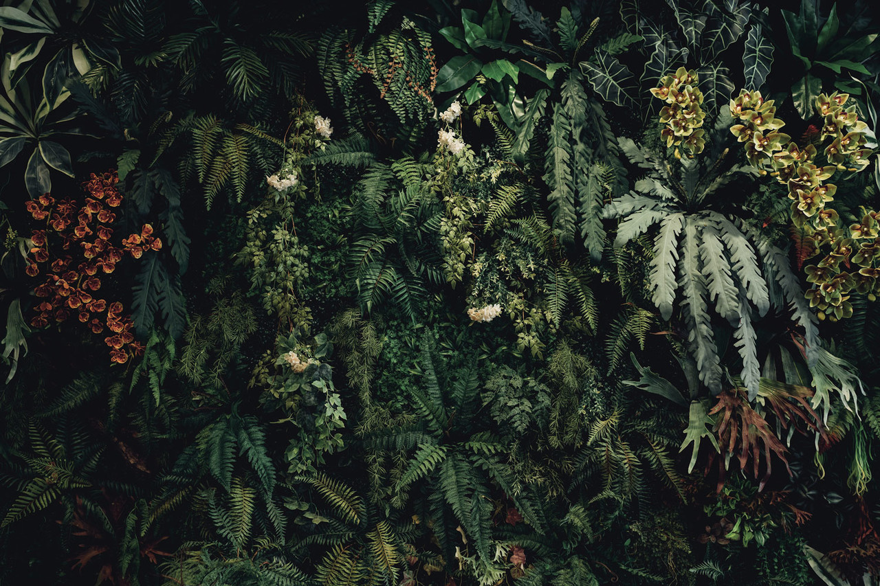 Leaves wallpaper Suspended Oasis, green, washable Leaves wallpaper Suspended Oasis, green, washable