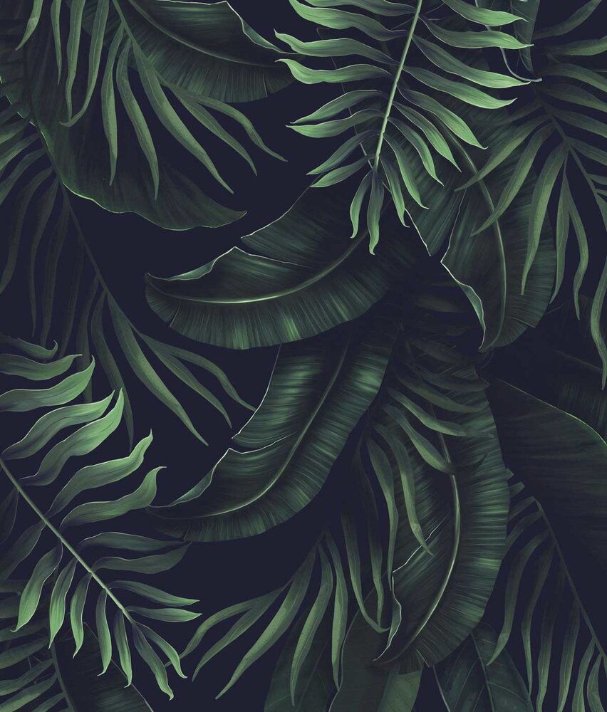 Bladeren behang Vibrant Jungle Harmony, afwasbaar